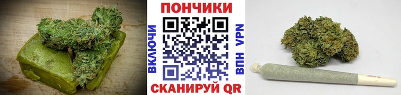 Canna-Cookies марихуана  мега онион  Новотроицк 