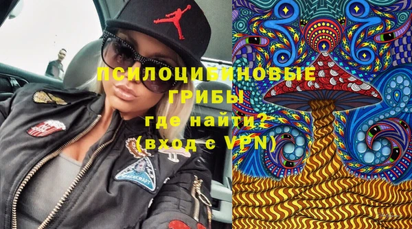 крисы Абаза