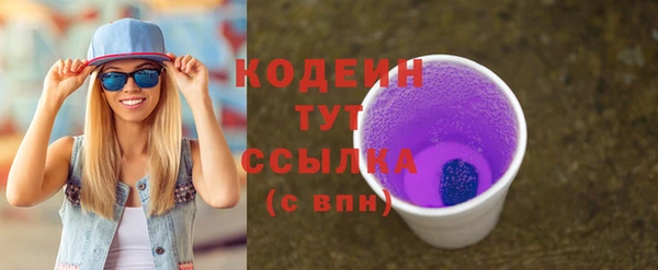 крисы Абаза