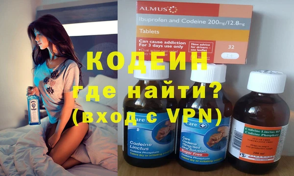 крисы Абаза