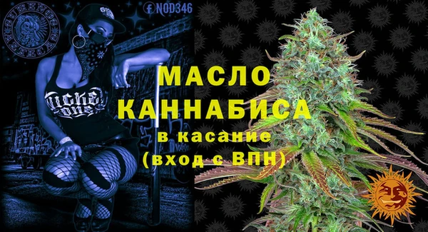 крисы Абаза