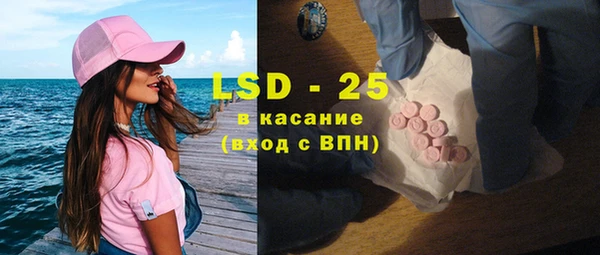 крисы Абаза