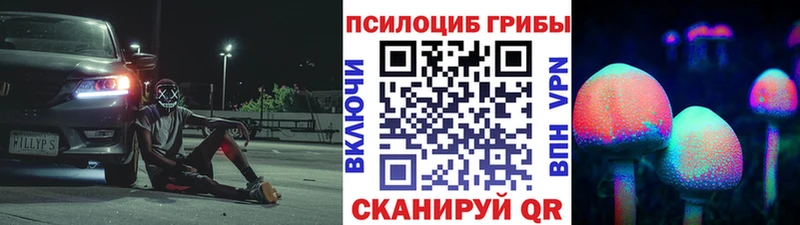 Псилоцибиновые грибы ЛСД продажа наркотиков МЕГА как войти Новотроицк